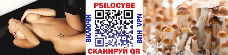 Псилоцибиновые грибы Psilocybine cubensis blacksprut сайт Балтийск купить